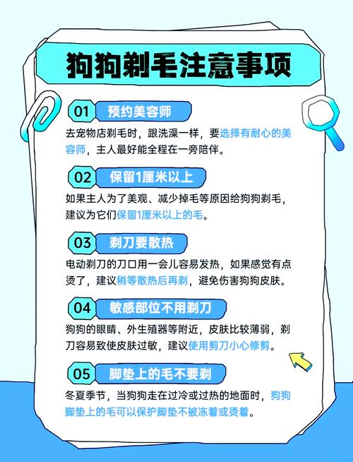 怎么给狗狗剃毛