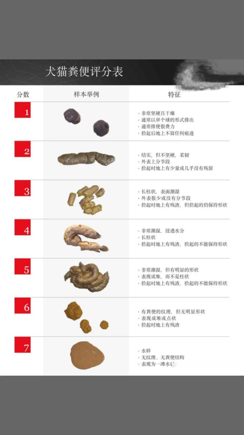 狗大便干燥一粒一粒的