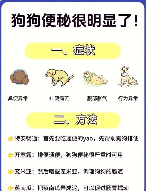 狗狗大便很干怎么办?