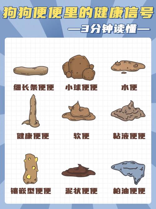 狗狗大便干硬怎么办啊?