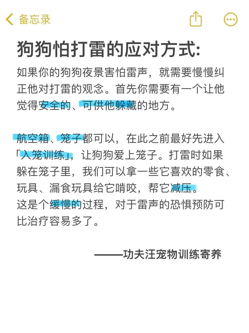 怎么安抚紧张的狗