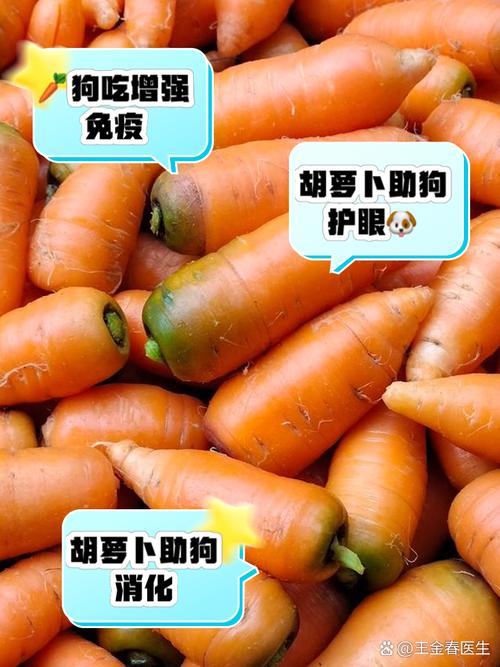 狗狗能吃胡萝卜吗生的