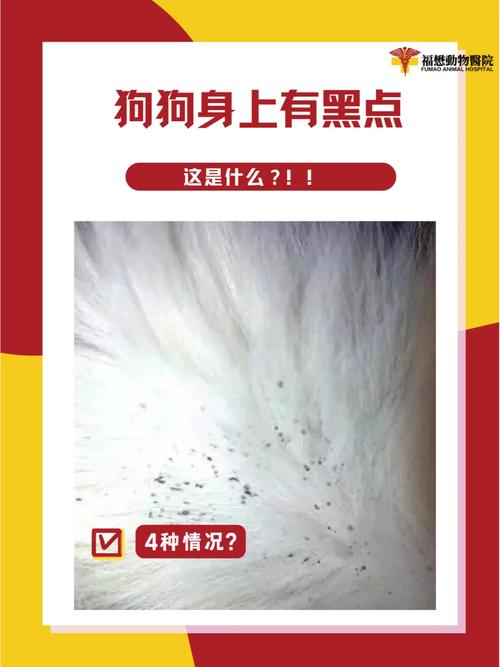狗狗身上长黑点点是怎么回事