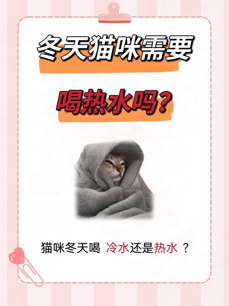 猫喝热水还是冷水