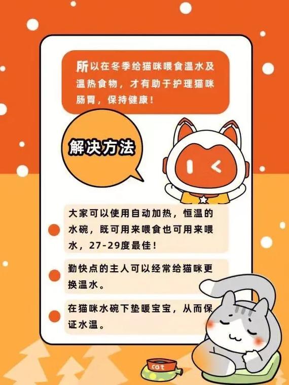 猫可以喝温水吗