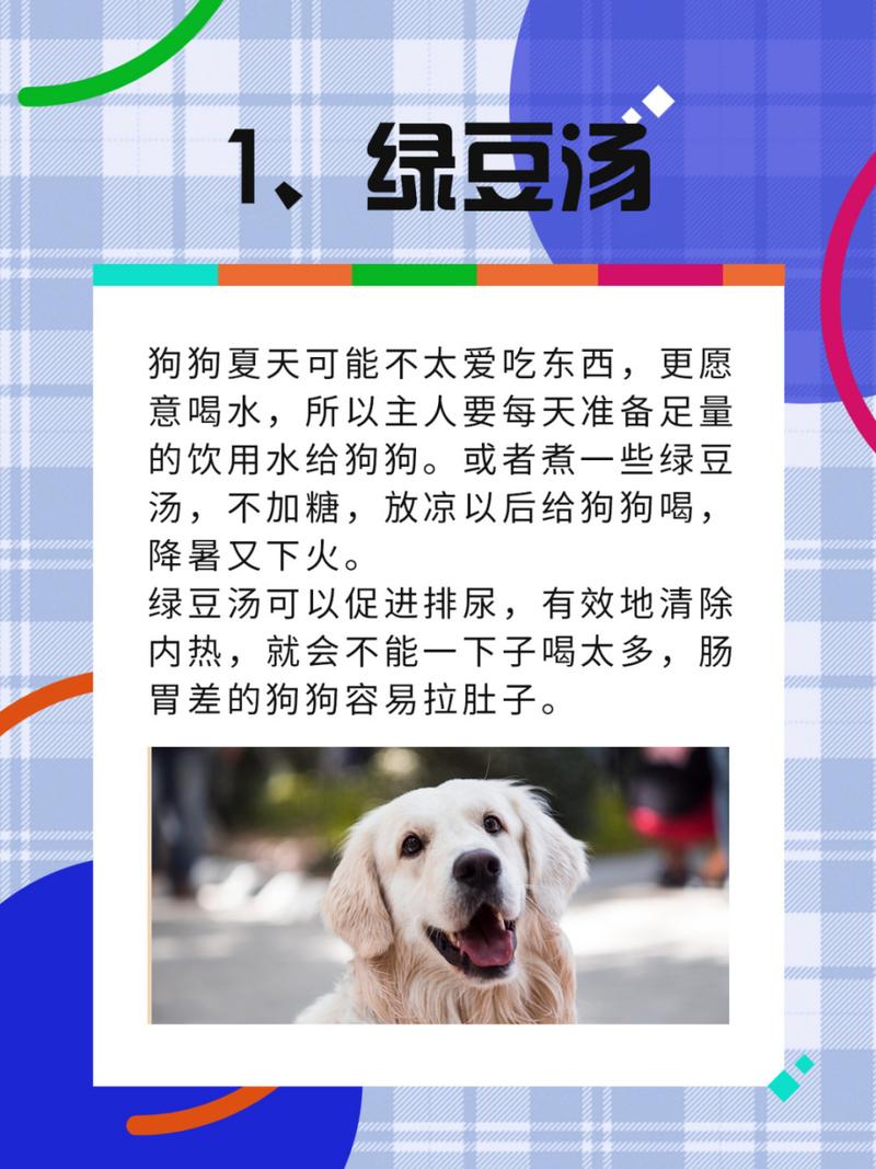 狗狗可以吃绿豆汤吗