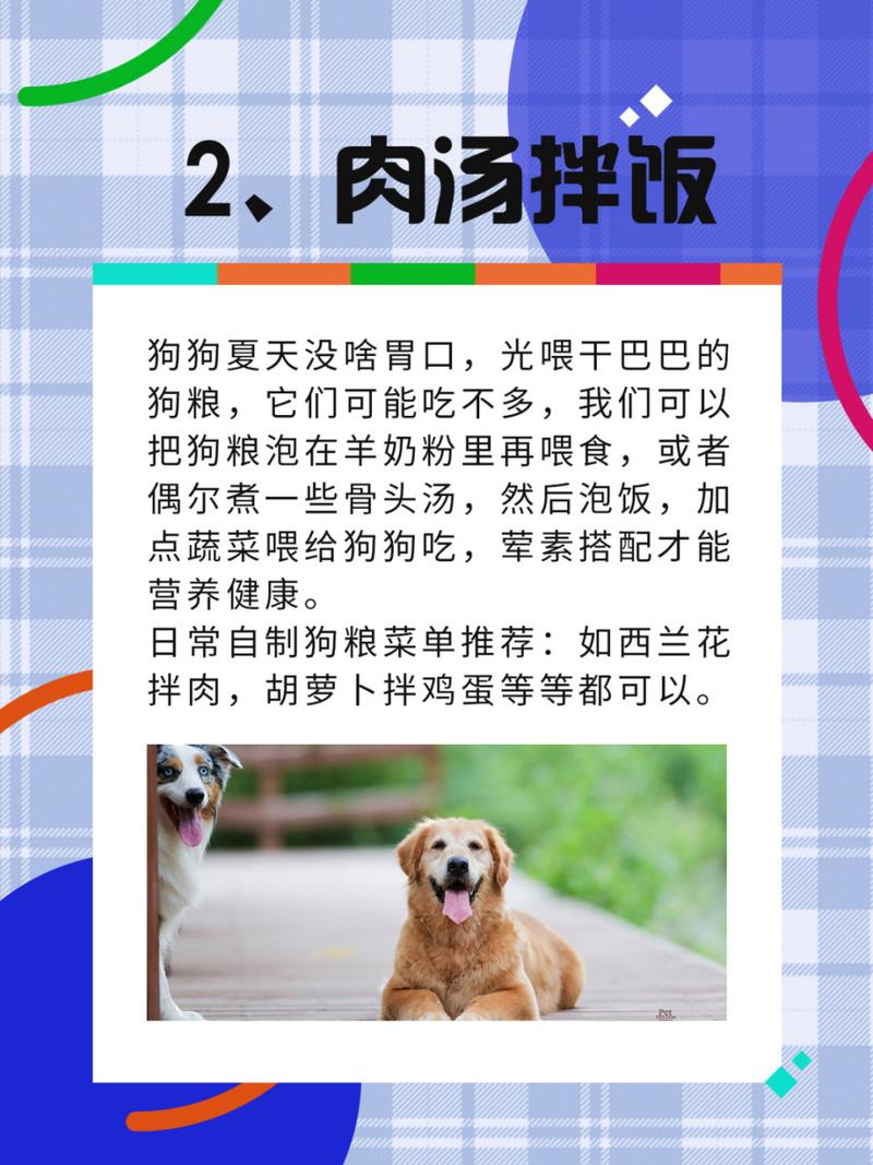 狗狗可以喝绿豆汤吗?