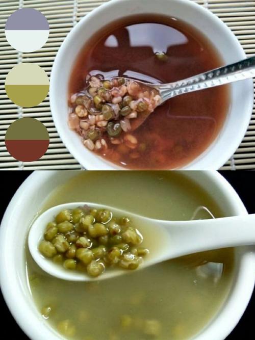 狗能不能喝绿豆汤