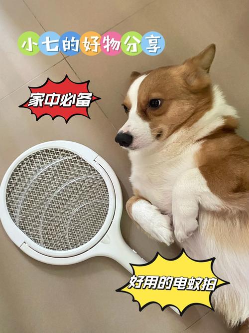 狗狗能闻电蚊香液吗