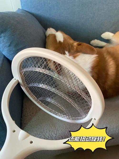 驱蚊液会让狗狗中毒