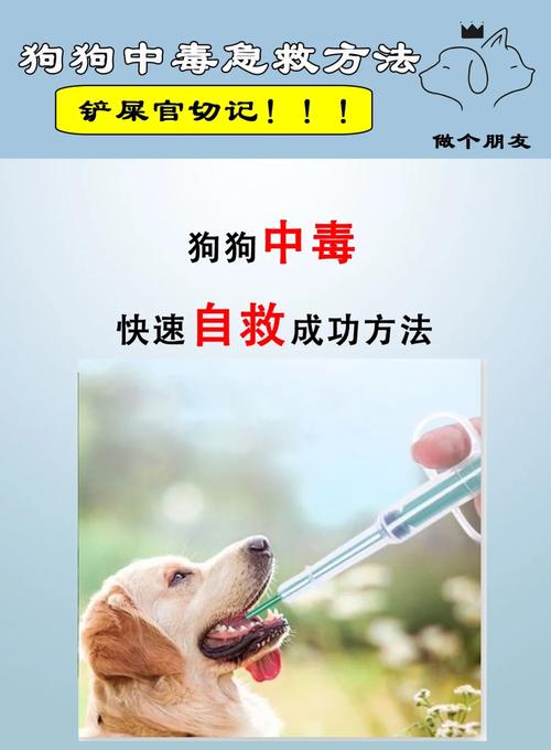 狗狗为什么怕驱蚊水