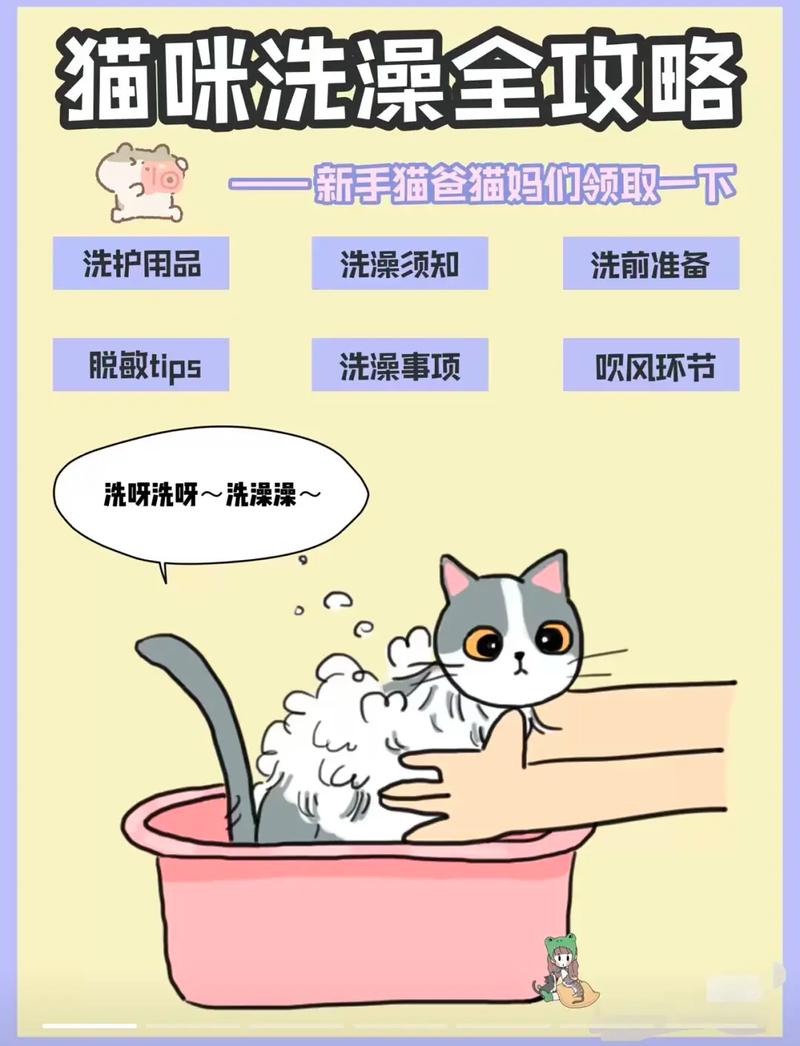 猫可以用什么洗澡