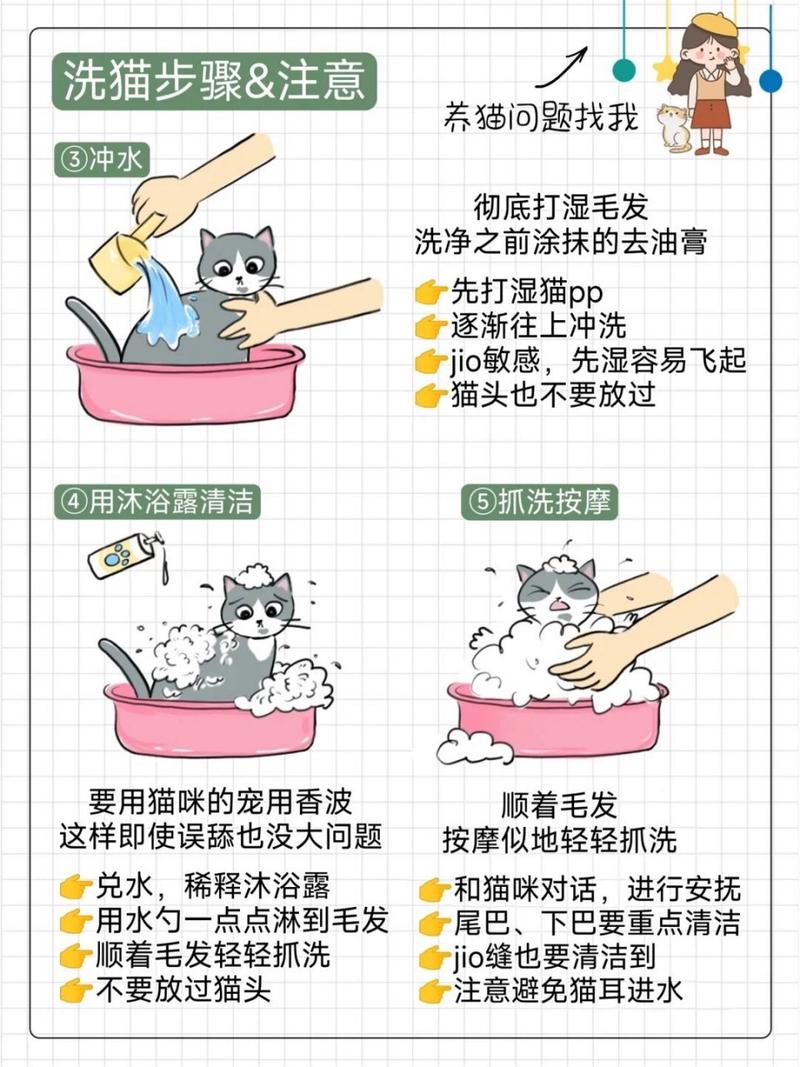 临时给猫洗澡用什么洗