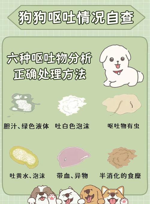 狗狗怀孕会吐吗