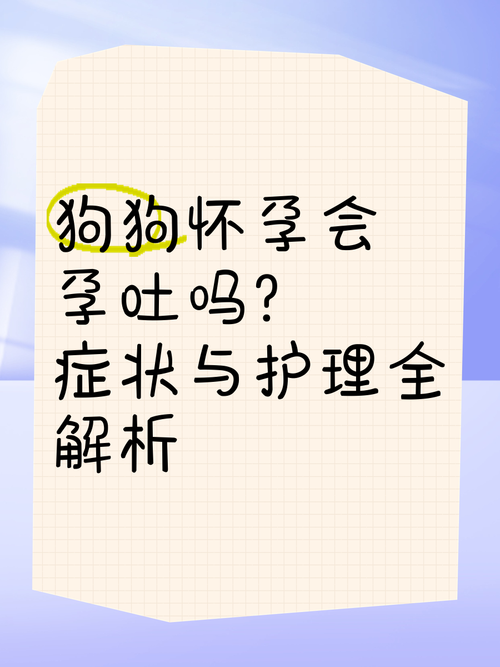 小狗怀孕会吐吗