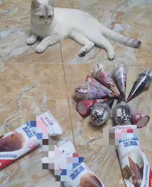 猫能吃冰的东西吗