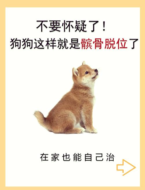 狗关节脱位如何复位呢?