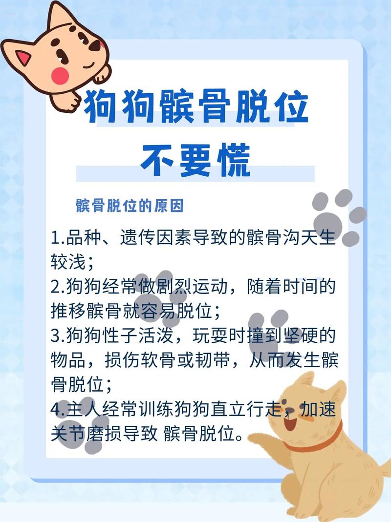 狗狗后腿脱臼如何复位