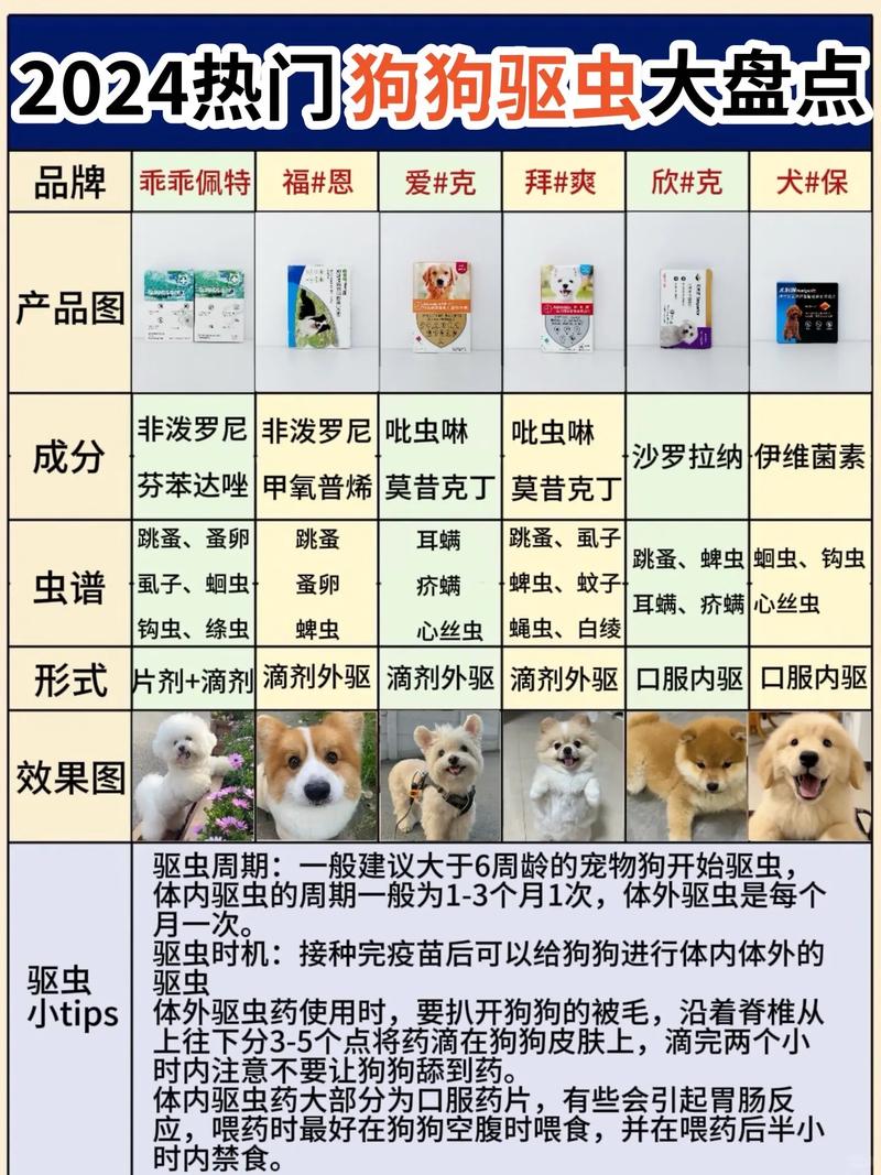 狗得了螨虫皮肤病用什么药?