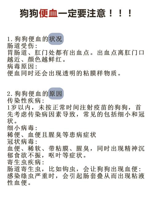 小狗大便带血是怎么回事啊?