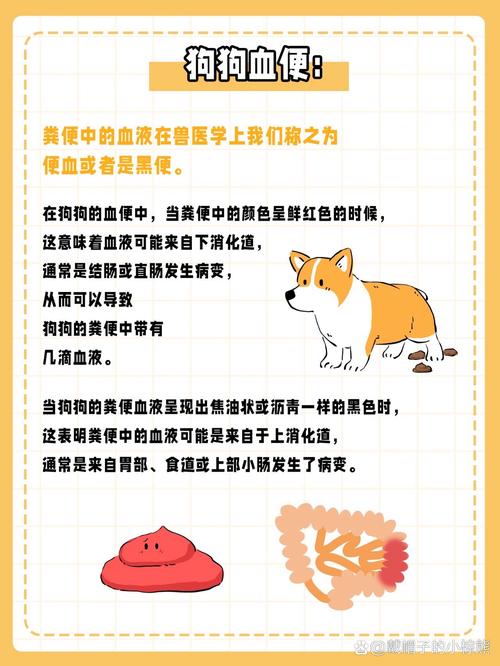 德牧大便带血是什么情况?