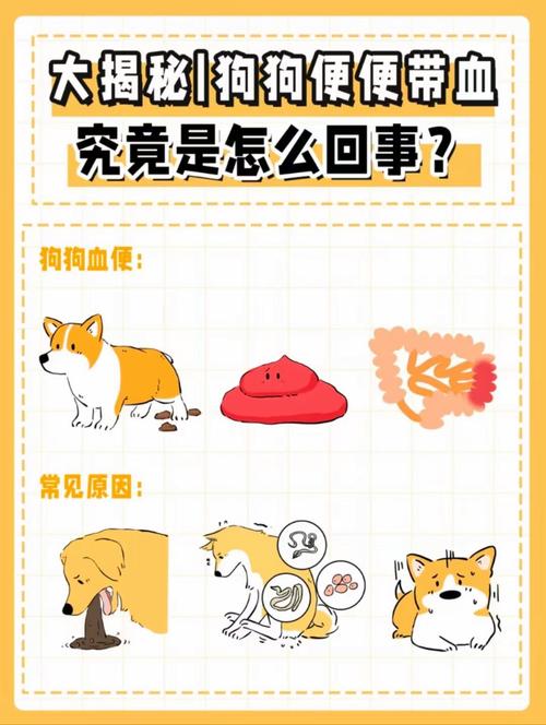 狗狗拉稀带血是怎么回事?