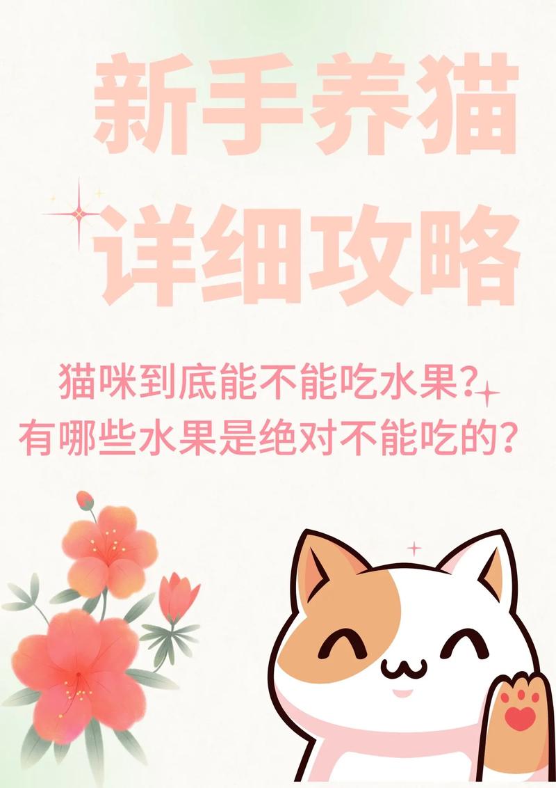 猫能吃什么水果