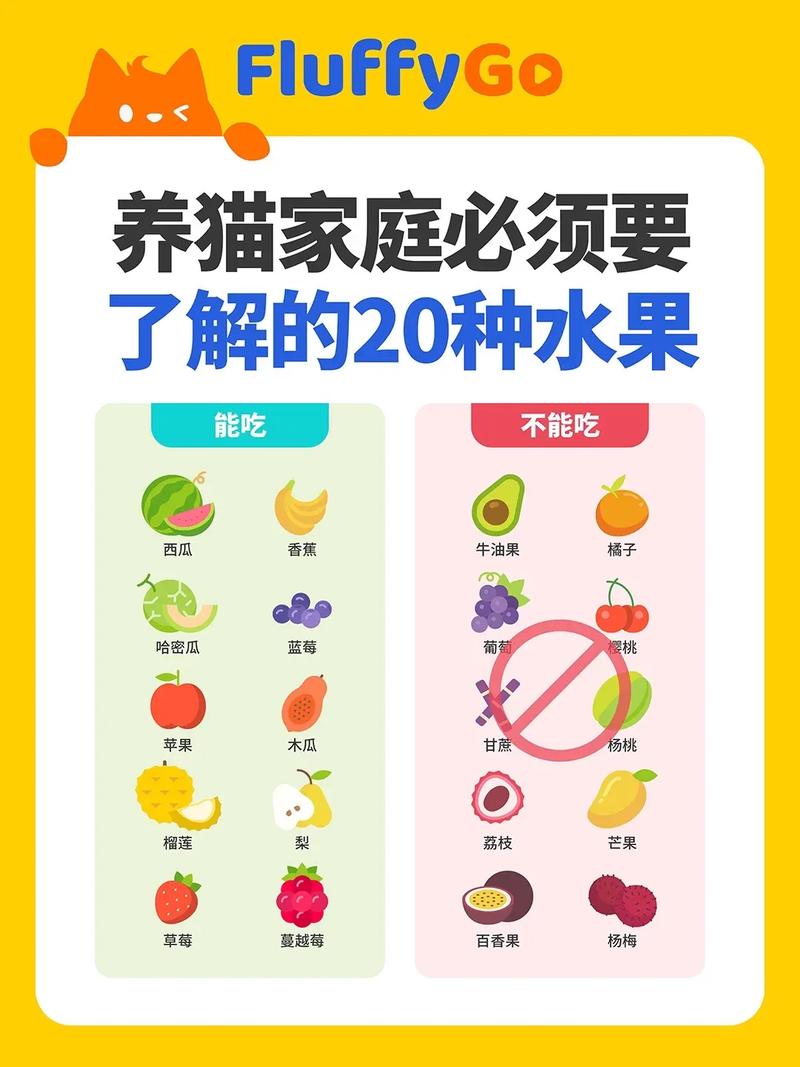猫可以吃什么水果