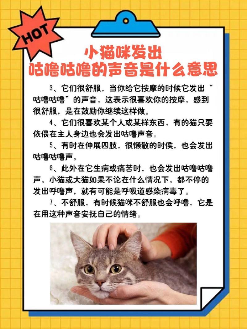 猫咪睡觉时发出呼噜呼噜声音