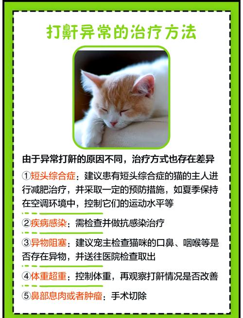 小猫睡觉打呼噜