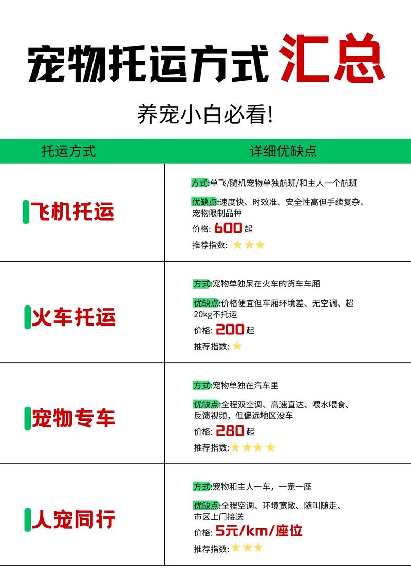 宠物猫猫可以托运吗