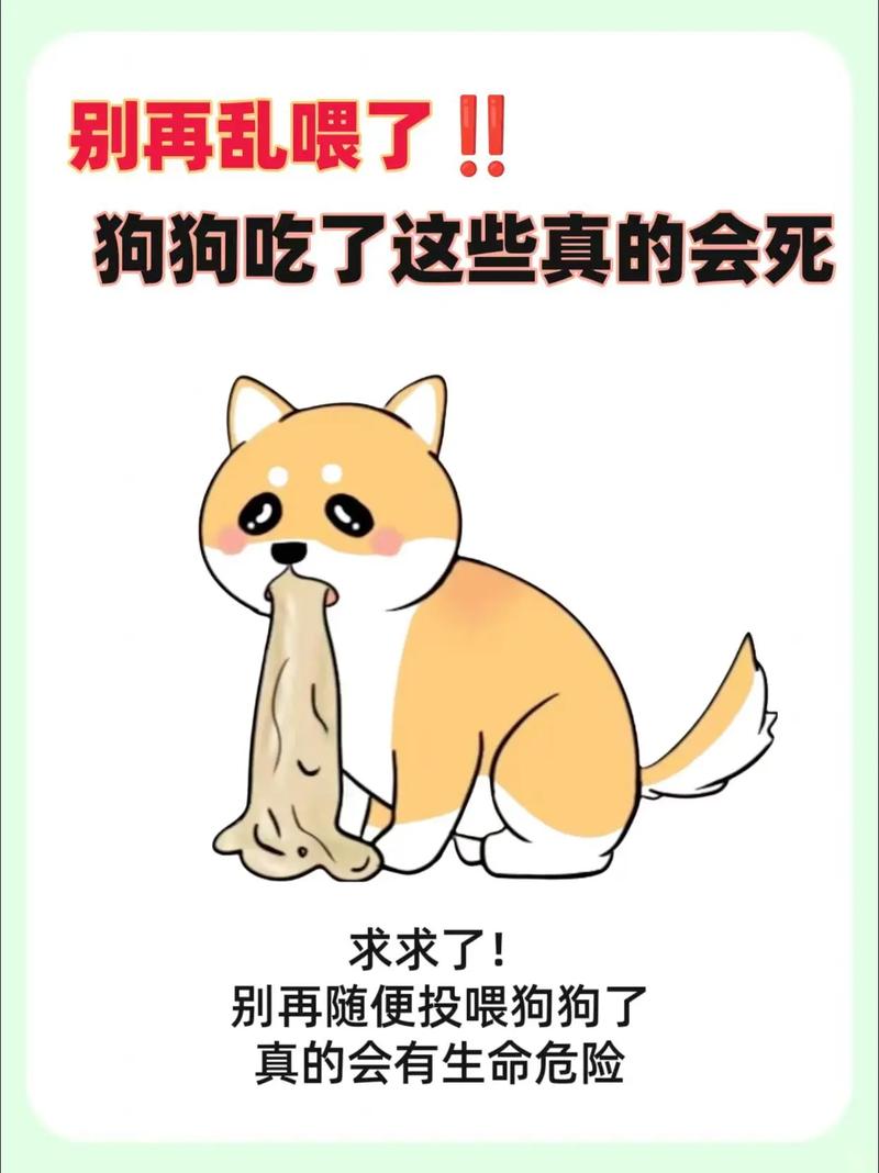 狗狗吃撑了会怎么样?