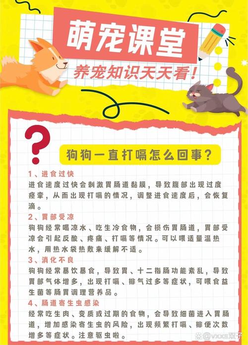 狗打嗝怎么办怎么止嗝