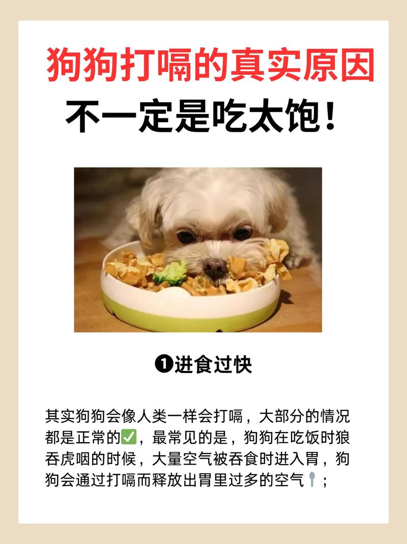 狗狗打嗝怎么回事?怎么治?