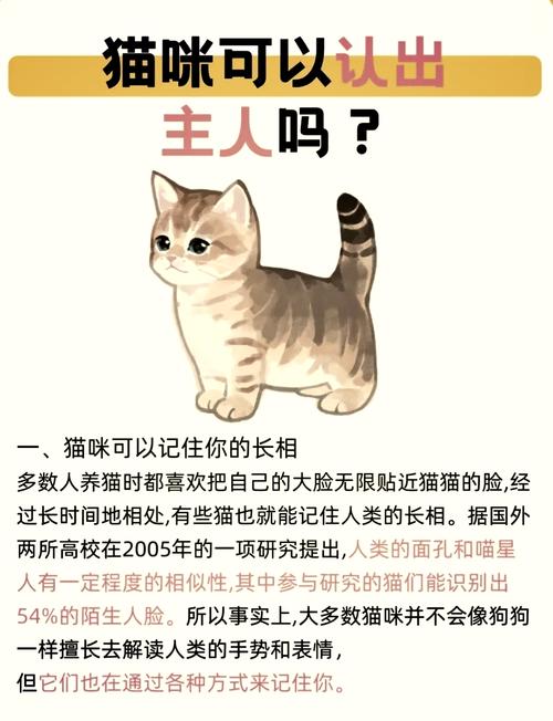 猫咪认一家的人都是主人吗?