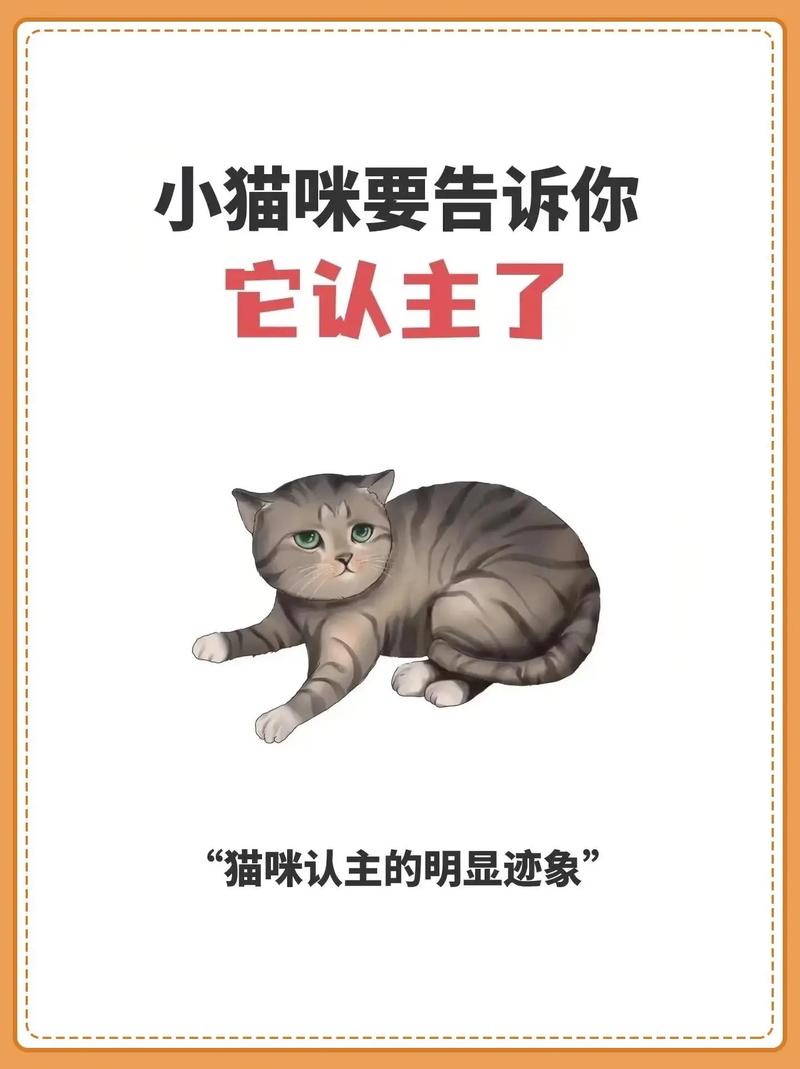 猫咪认主的5大征兆