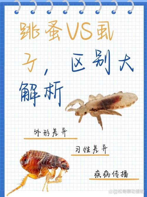 怎么判断狗狗身上有没有跳蚤狗身上跳蚤怎么办