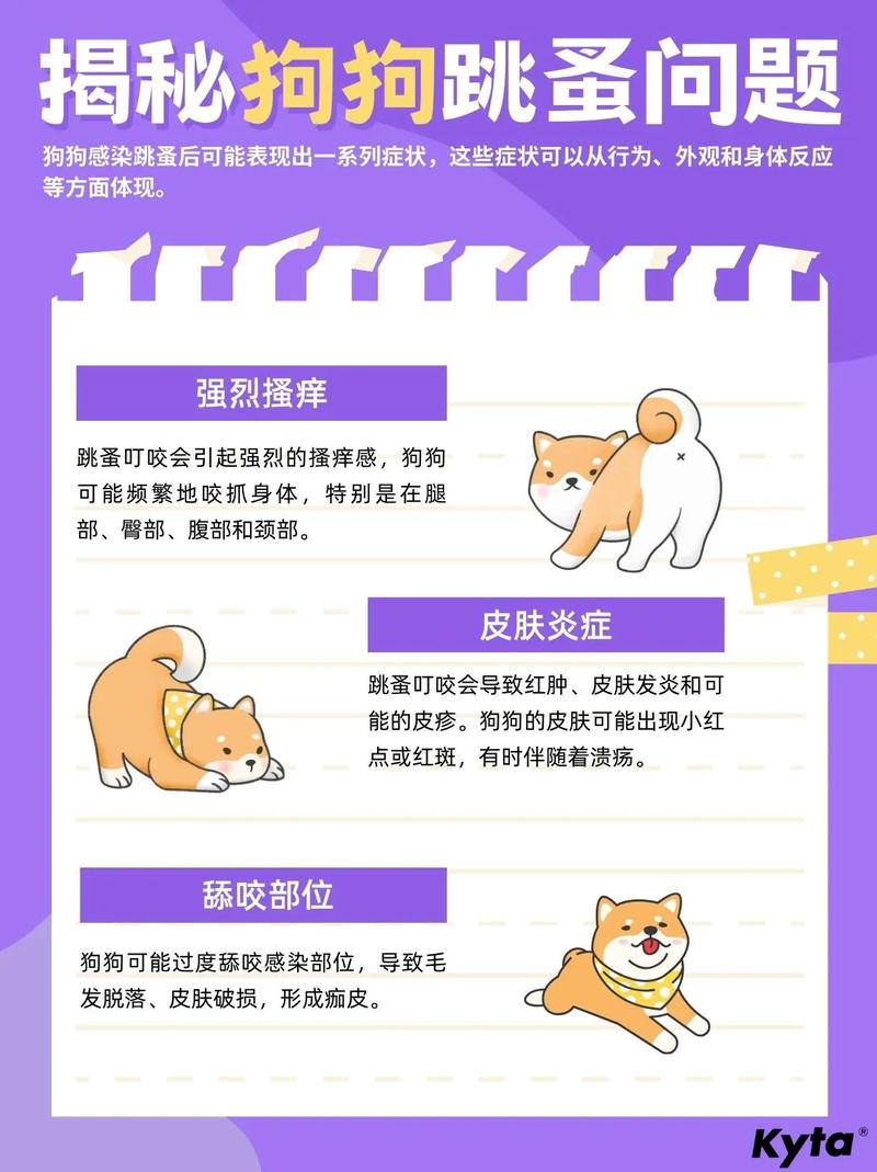 怎么知道狗狗的身上有没有跳蚤?