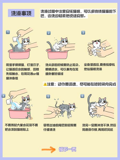 如何在家给猫咪洗澡