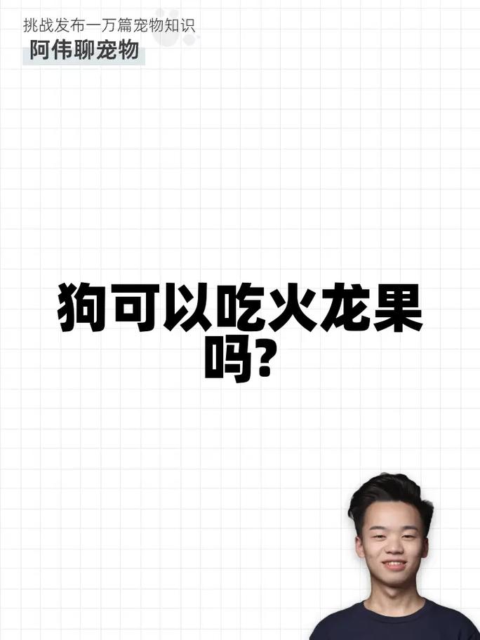 小狗能吃火龙果吗