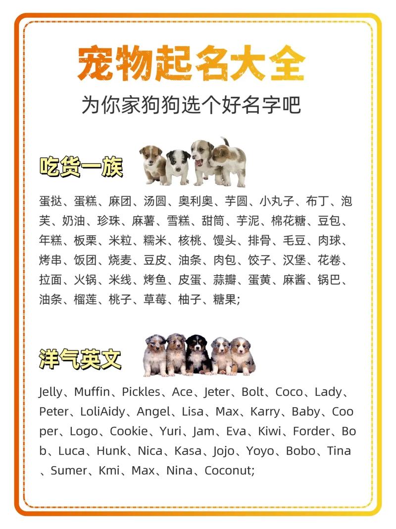 我家买了只泰迪狗狗起个名字不知道叫什么,亲好心人士帮我起个名字...