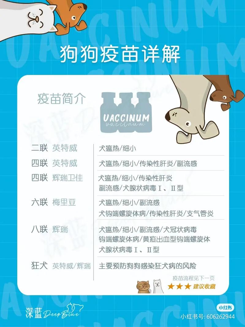 小狗需要打什么针?