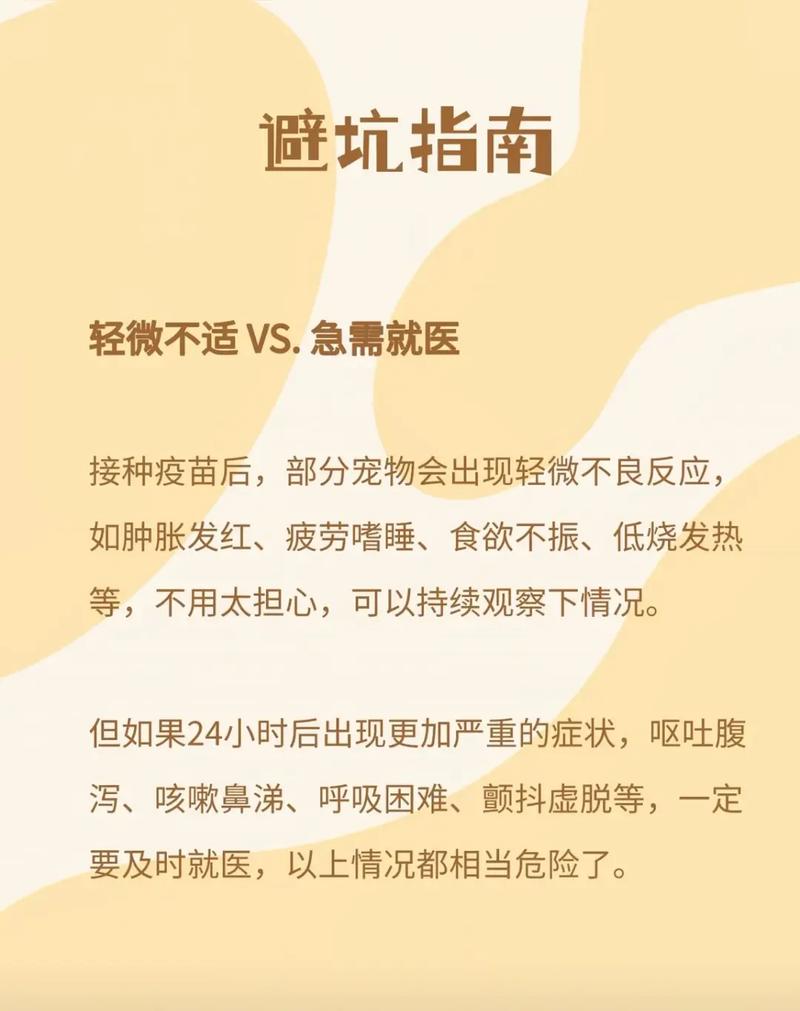 宠物狗要打哪些疫苗?给狗狗打疫苗需要注意什么?