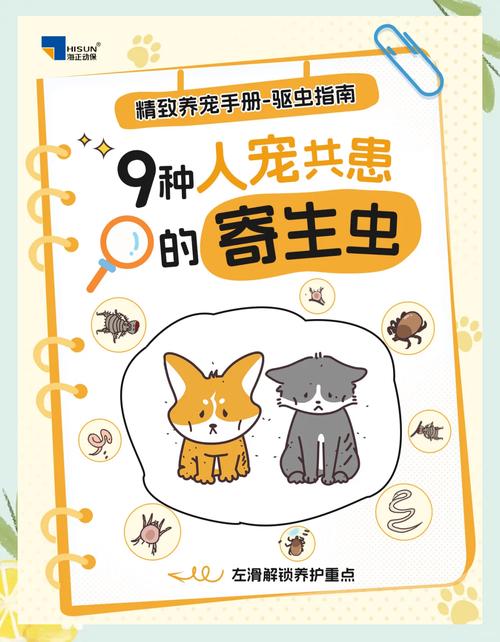 猫身上的寄生虫会传染给人吗