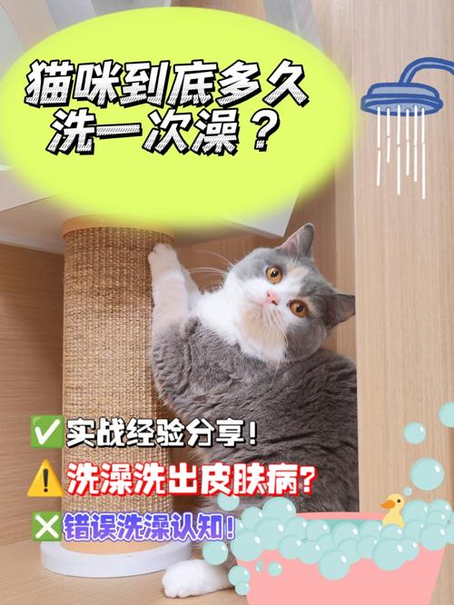 猫多长时间洗一次澡