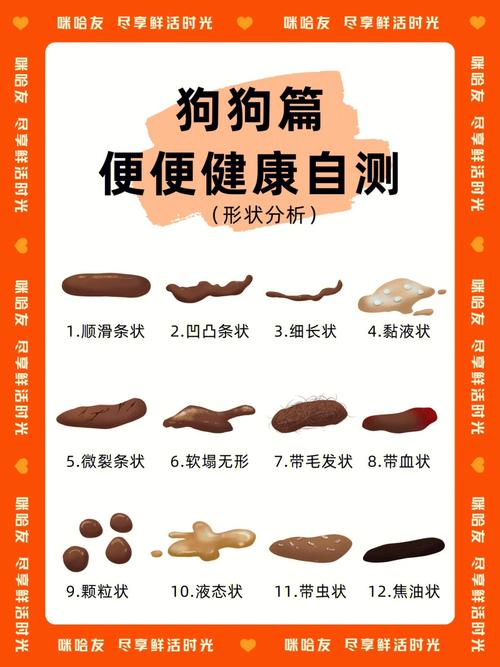 狗狗拉稀还吐能喝水吗