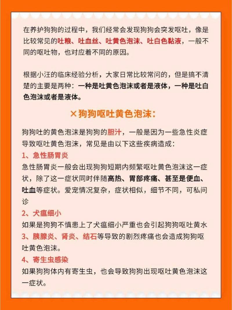 狗狗呕吐为什么不能喝水