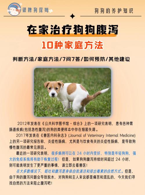 狗狗产后拉稀怎么办