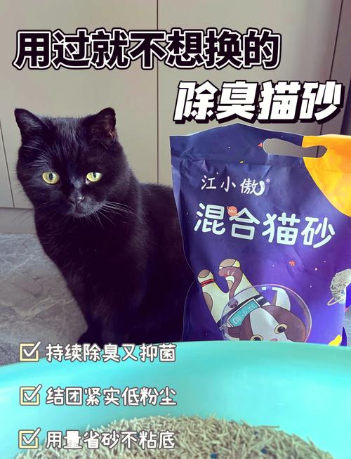 幼猫的猫砂多久换一次