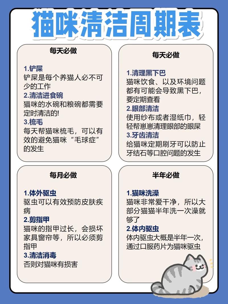 猫砂几个月换一次